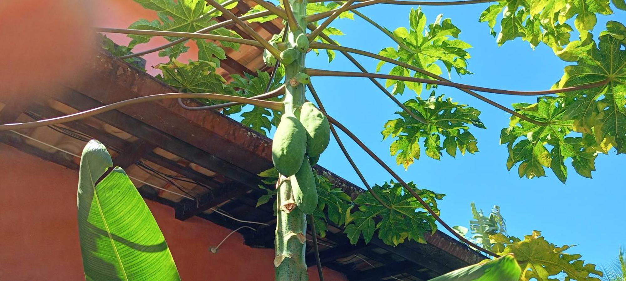 Vila Santa Rosa Ilhabela Zewnętrze zdjęcie