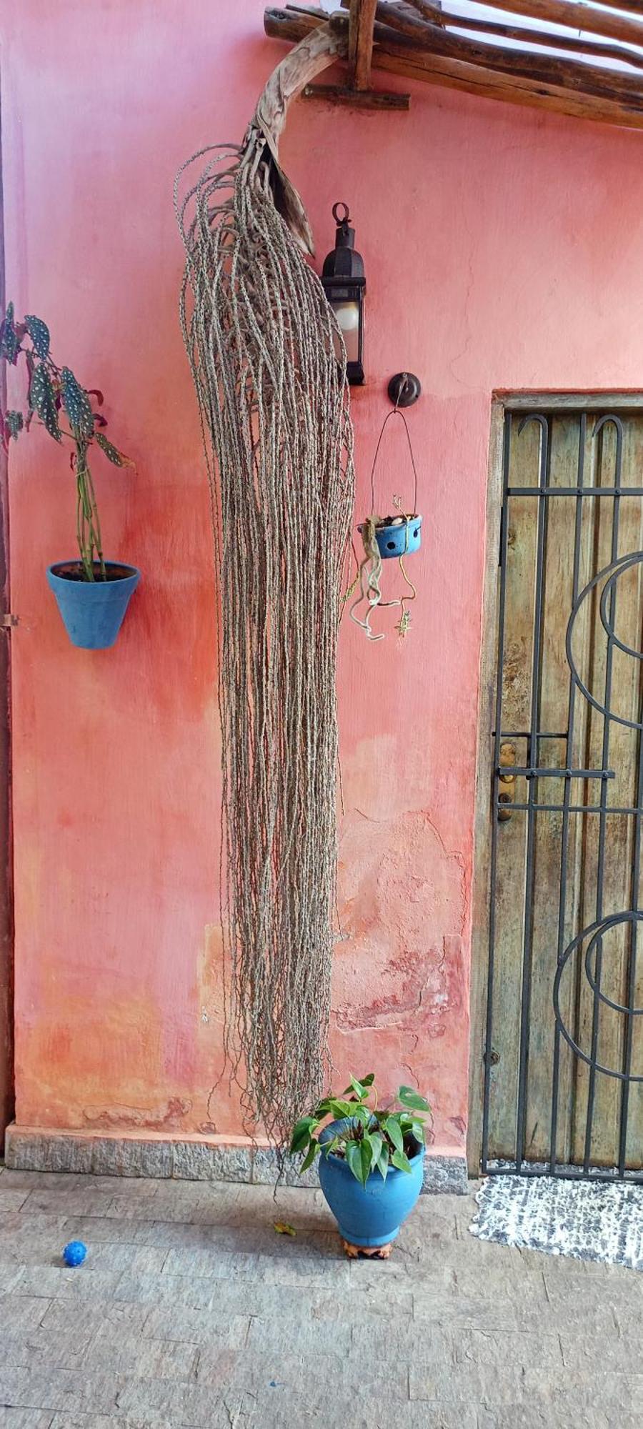 Vila Santa Rosa Ilhabela Zewnętrze zdjęcie