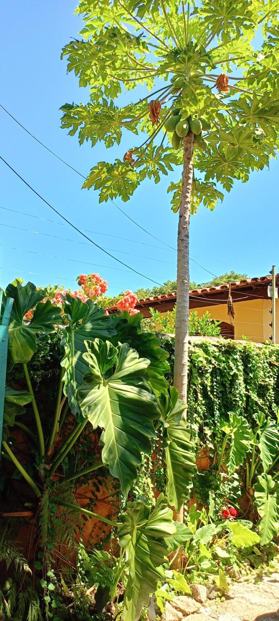 Vila Santa Rosa Ilhabela Zewnętrze zdjęcie