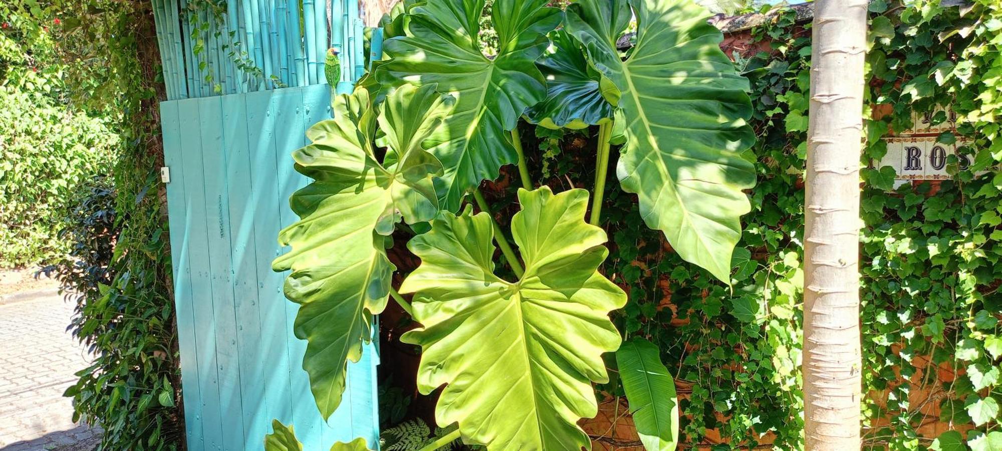 Vila Santa Rosa Ilhabela Zewnętrze zdjęcie